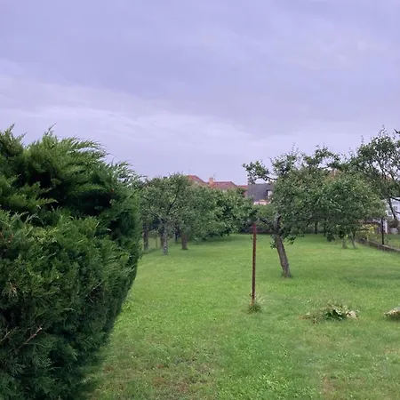 Se Zahradou V Protivine